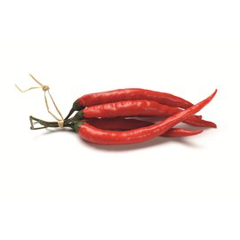 Piment bio* fort épice bio